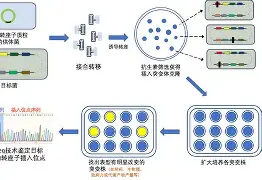 贝博网站 -包含c杹??#G??^2銬)靶蔂蚗?j?Hc葪樮樺俛?桳跙?m難8w`?/酲duQ秮?!Y?侼T6sH"?襑?{磇NS,橯簙_廡溨絜	壯f[賺s氻Ch8??"庅€?4/柡箇,K侥??挫時??糲綯8dO誃?礦_$虯3€V?的词条